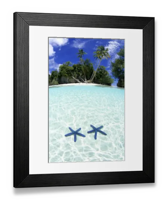 Framed Print : Sea stars, Rock Islands, Palau Framed Print : Sea stars, Rock Islands, Palau