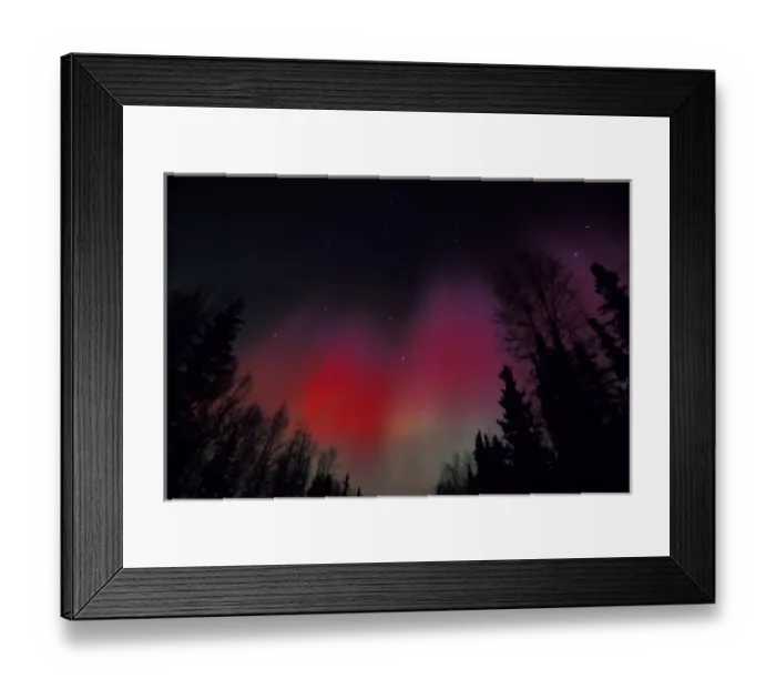 Framed Print : NA, USA, Alaska, Fairbanks Framed Print : NA, USA, Alaska, Fairbanks