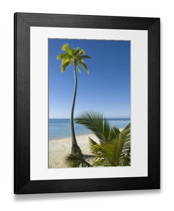 Framed Print : Beach on mainland Aitutaki, Cook Islands Framed Print : Beach on mainland Aitutaki, Cook Islands
