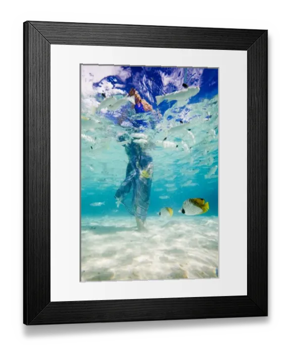 Framed Print : South Pacific, Bora Bora, female tourist walking in ocean. (MR) Framed Print : South Pacific, Bora Bora, female tourist walking in ocean. (MR)