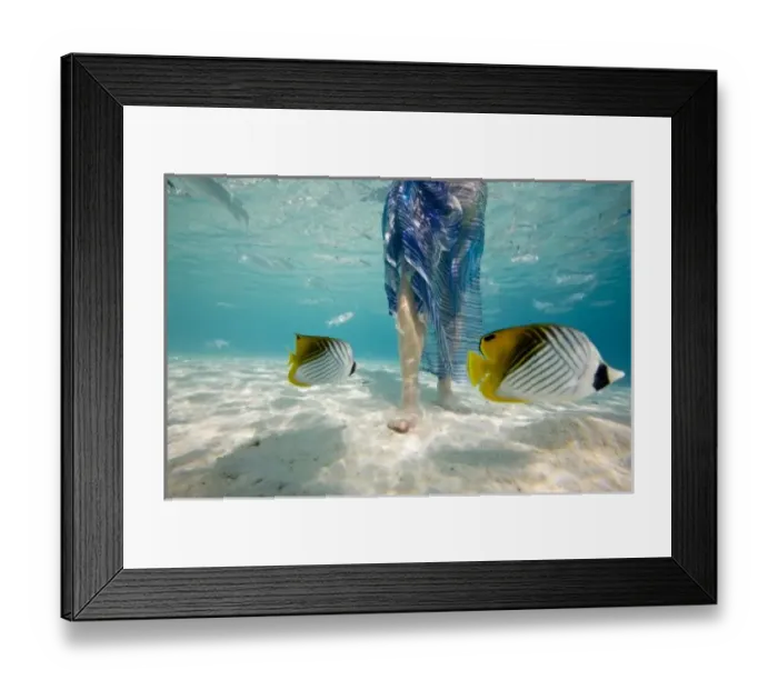 Framed Print : South Pacific, Bora Bora, female tourist walking in ocean. (MR) Framed Print : South Pacific, Bora Bora, female tourist walking in ocean. (MR)
