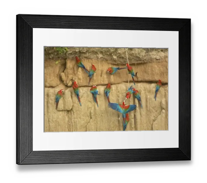 Framed Print : South America, Peru