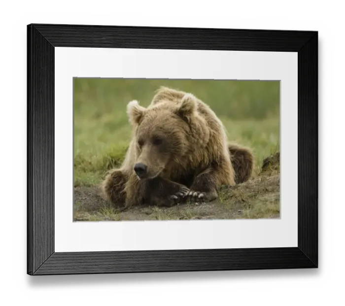 Framed Print : USA, North America, Alaska Framed Print : USA, North America, Alaska