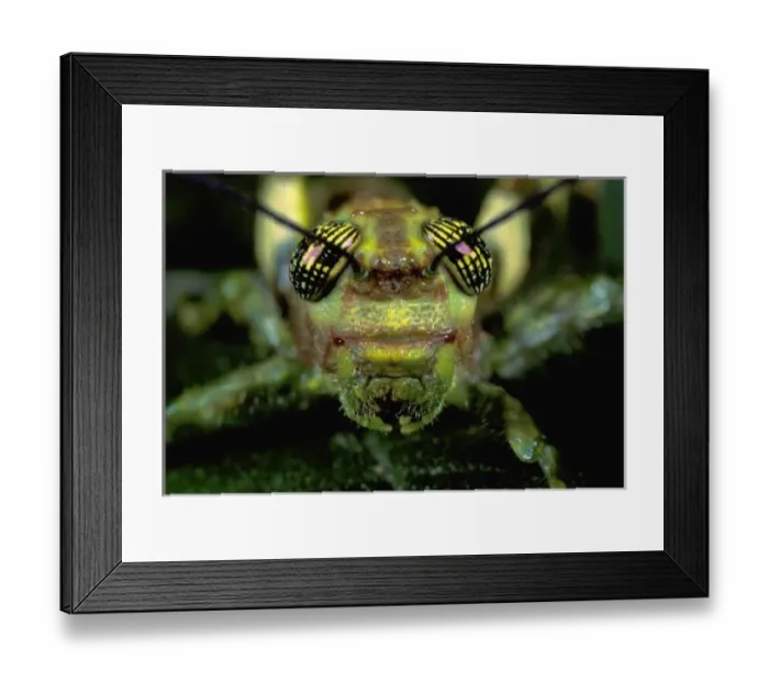 Framed Print : Central America Framed Print : Central America