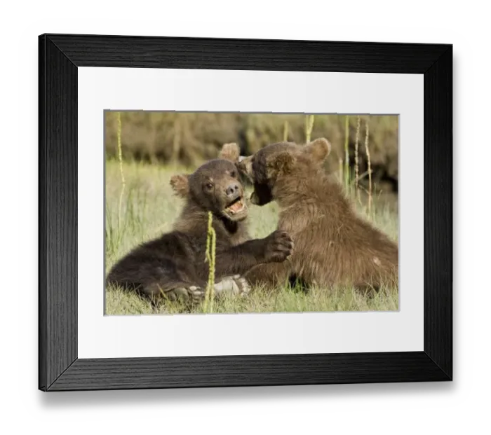 Framed Print : USA, North America, Alaska Framed Print : USA, North America, Alaska