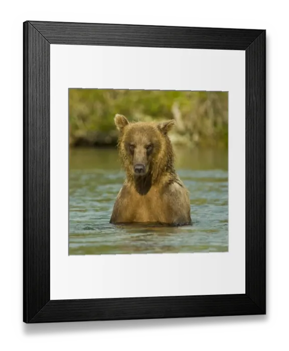 Framed Print : USA, North America, Alaska Framed Print : USA, North America, Alaska
