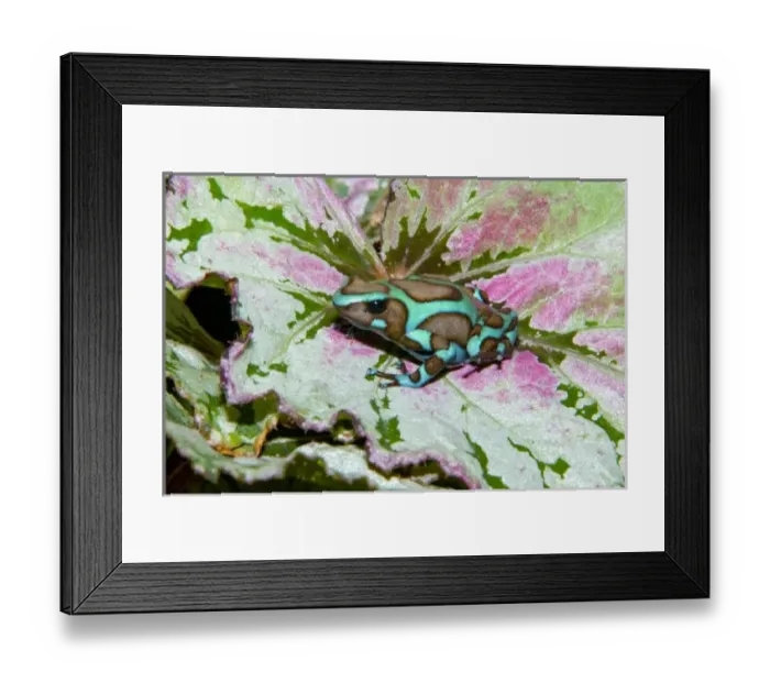 Framed Print : Central America, Panama Framed Print : Central America, Panama
