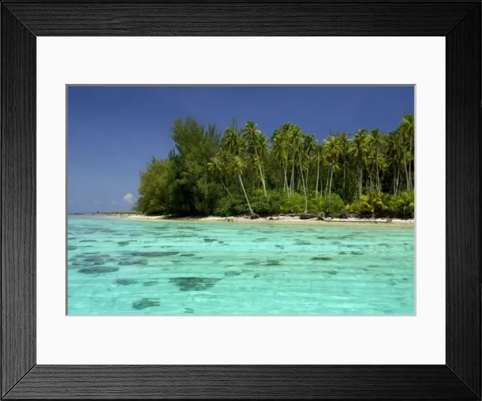 Framed Print : South Pacific, French Polynesia, Moorea