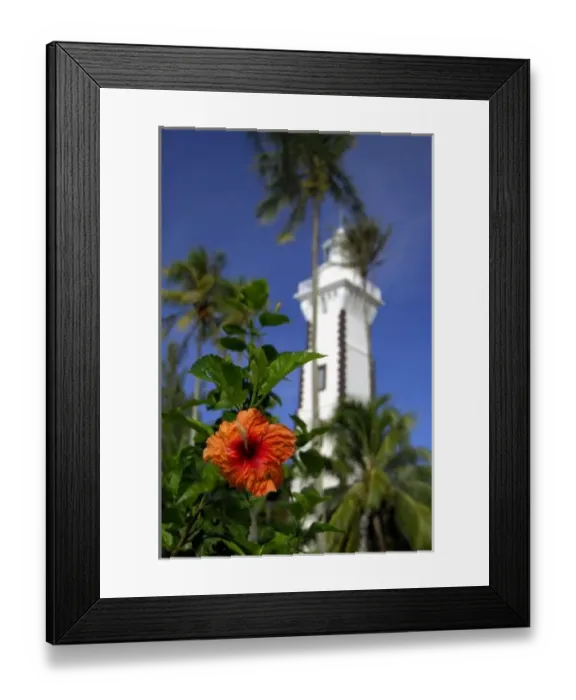Framed Print : South Pacific, French Polynesia, Tahiti. Hibiscus in front of Venus Point Lighthouse
