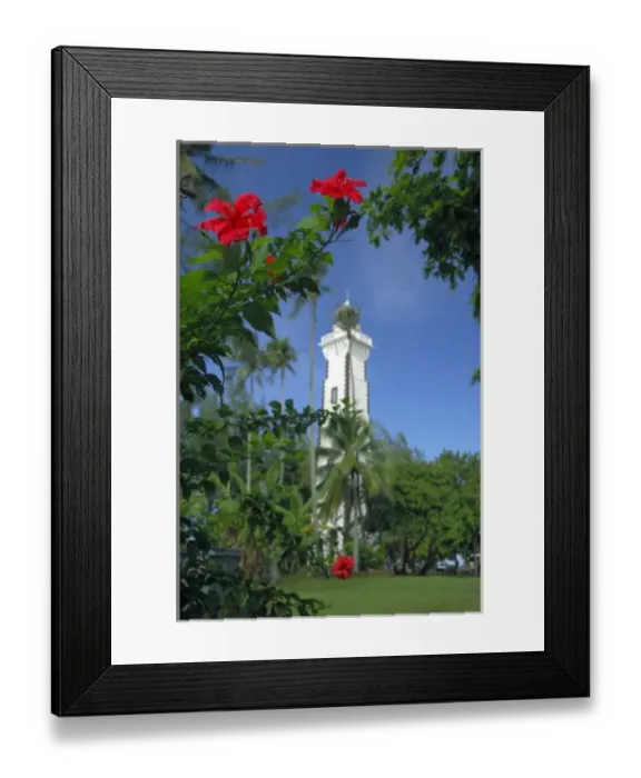 Framed Print : South Pacific, French Polynesia, Tahiti. Hibiscus in front of Venus Point Lighthouse Framed Print : South Pacific, French Polynesia, Tahiti. Hibiscus in front of Venus Point Lighthouse