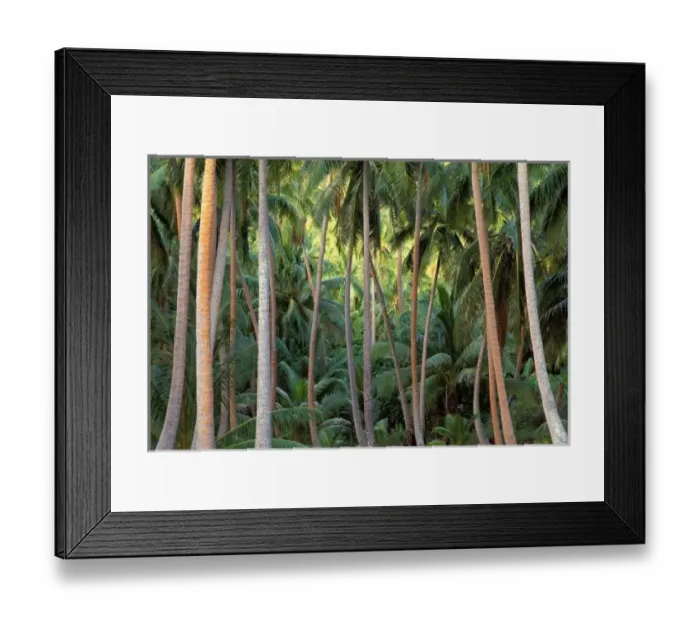 Framed Print : South Pacific Framed Print : South Pacific