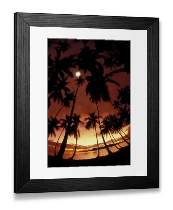 Framed Print : Bora Bora, French Polynesia Sunset shot through palm trees Framed Print : Bora Bora, French Polynesia Sunset shot through palm trees