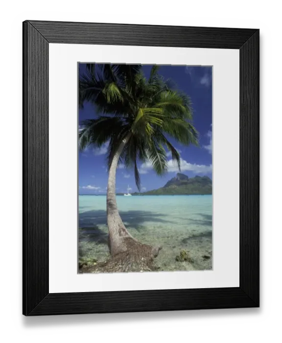 Framed Print : Bora Bora, French Polynesia Mt. Otemanu seen through palms Framed Print : Bora Bora, French Polynesia Mt. Otemanu seen through palms