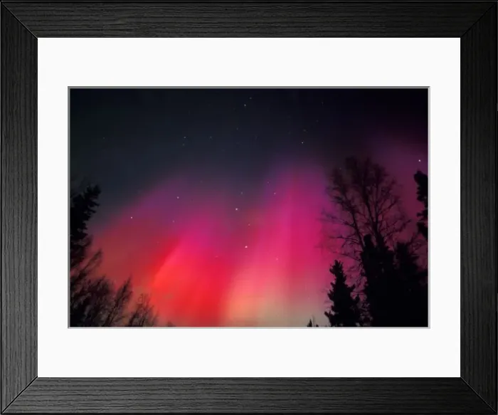 Framed Print : NA, USA, Alaska, Fairbanks, Curtains of pink and red Northern Lights above central Alaska Framed Print : NA, USA, Alaska, Fairbanks, Curtains of pink and red Northern Lights above central Alaska