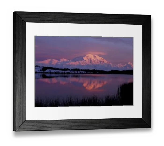 Framed Print : NA, USA, Alaska. Denali National Park. Mt McKinley (20, 320 ) reflected in tundra