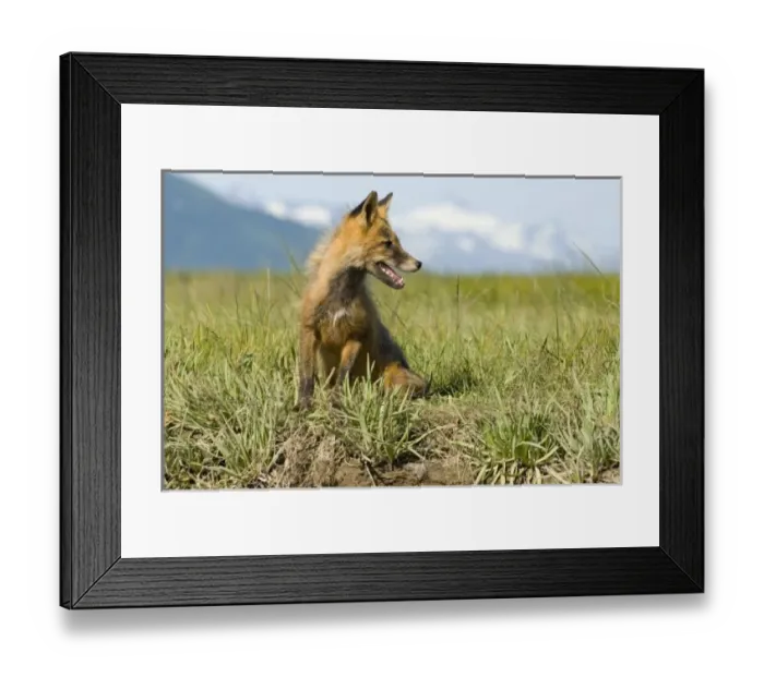 Framed Print : USA, North America, Alaska Framed Print : USA, North America, Alaska