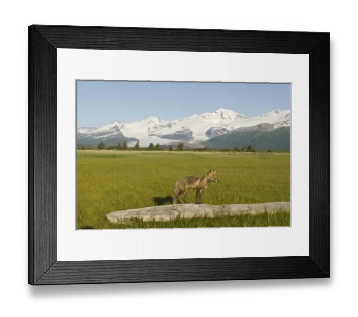 Framed Print : USA, North America, Alaska Framed Print : USA, North America, Alaska