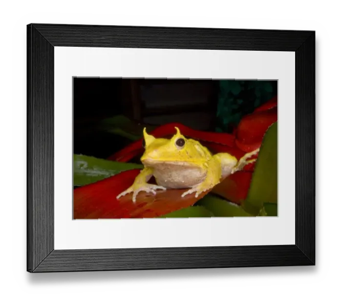 Framed Print : South Pacific
