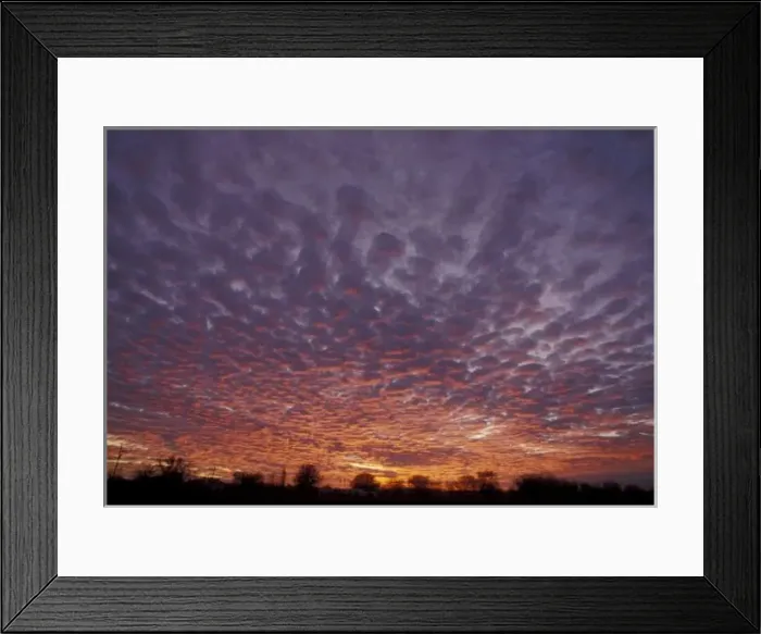 Framed Print : N. A. USA, New Mexico, near Las Cruces, Altocumulus clouds at sunset