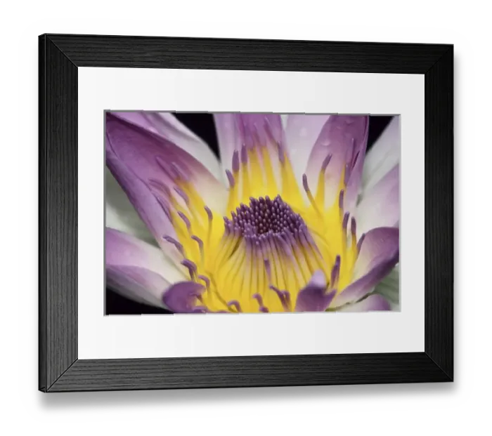 Framed Print : Oceania, Fiji Framed Print : Oceania, Fiji