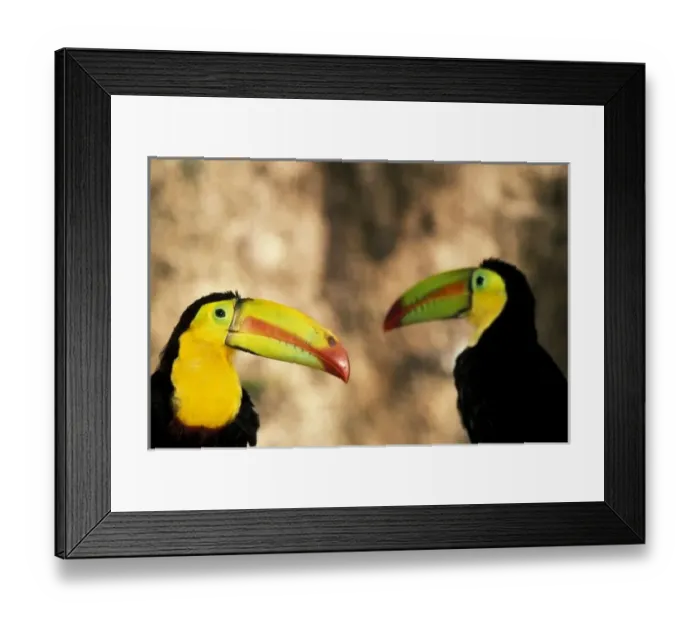 Framed Print : Central America