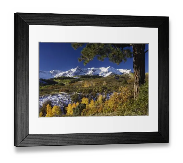 Framed Print : San Juan Mountains and Aspen trees in fallcolor at sunrise, Dallas Divide, Ouray