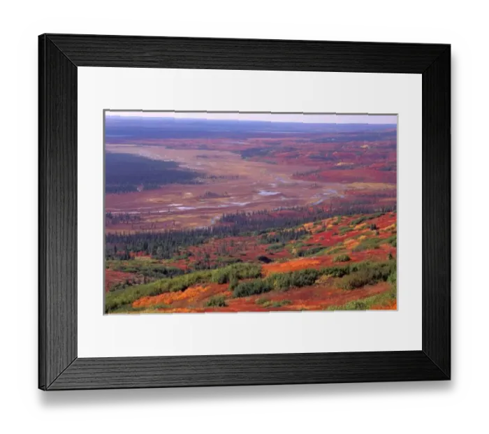 Framed Print : NA, USA, Alaska, Denali NP, View of McKinley River in fall; taiga forest below Framed Print : NA, USA, Alaska, Denali NP, View of McKinley River in fall; taiga forest below