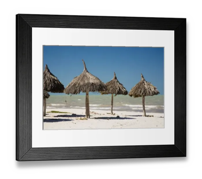 Framed Print : Mexico, Yucatan Peninsula, Progreso. Thatch palapa made from Mexican palm leaves Framed Print : Mexico, Yucatan Peninsula, Progreso. Thatch palapa made from Mexican palm leaves