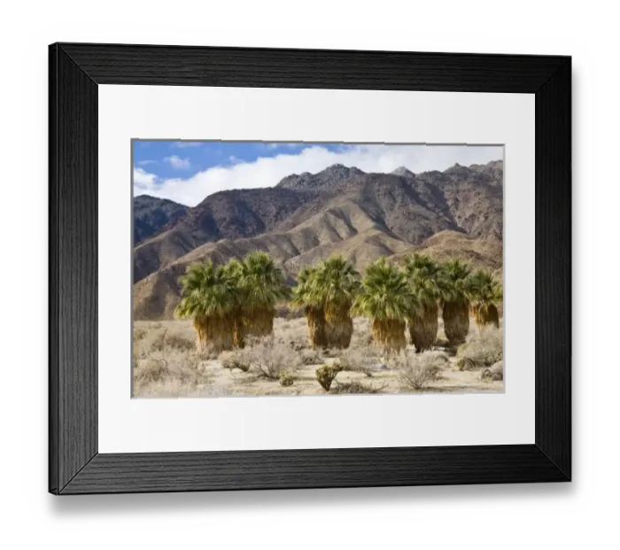 Framed Print : USA, California Framed Print : USA, California