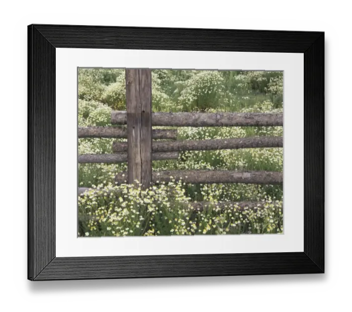 Framed Print : USA, Colorado Framed Print : USA, Colorado