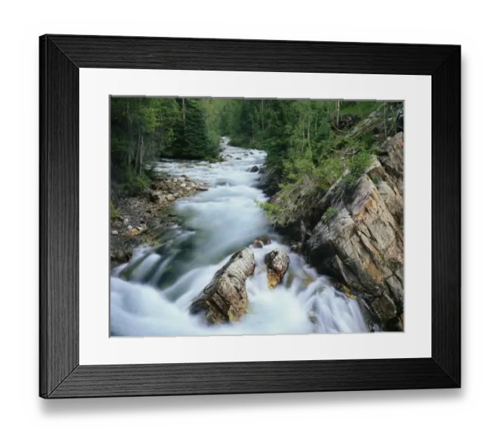 Framed Print : Crystal River Framed Print : Crystal River