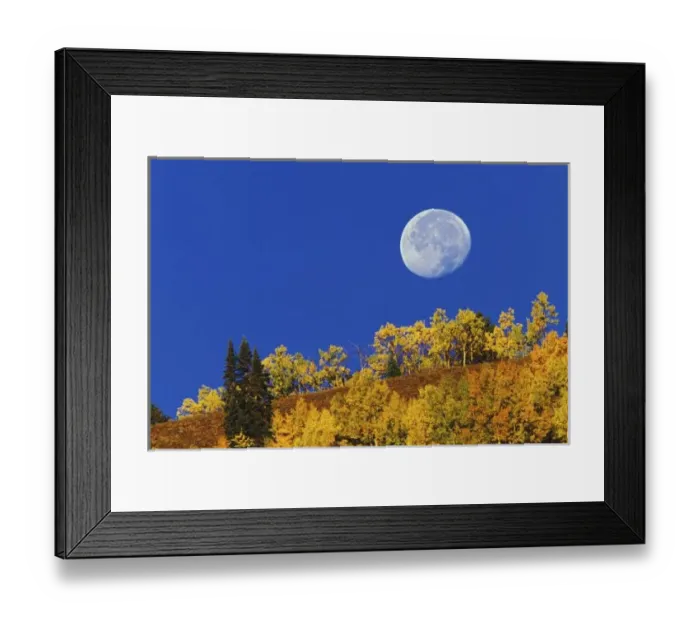 Framed Print : Moon setting at sunrise, Gunnison National Forest, near Gunnison, CO. (Not available Framed Print : Moon setting at sunrise, Gunnison National Forest, near Gunnison, CO. (Not available