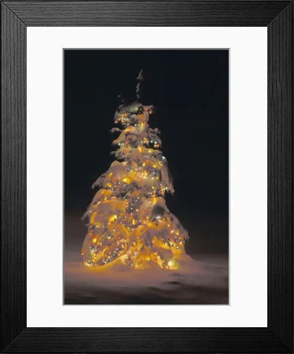 Framed Print : USA, Colorado, Woodland Park. Multi-colored holiday lights decorate a spruce tree