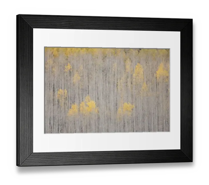 Framed Print : USA, Colorado Framed Print : USA, Colorado