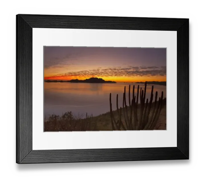 Framed Print : The sunrise over Isla Danzante in the Gulf of California from near Loreto Mexico Framed Print : The sunrise over Isla Danzante in the Gulf of California from near Loreto Mexico