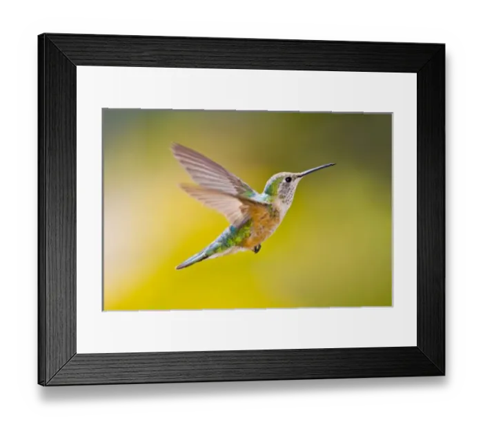 Framed Print : USA, North America, Colorado