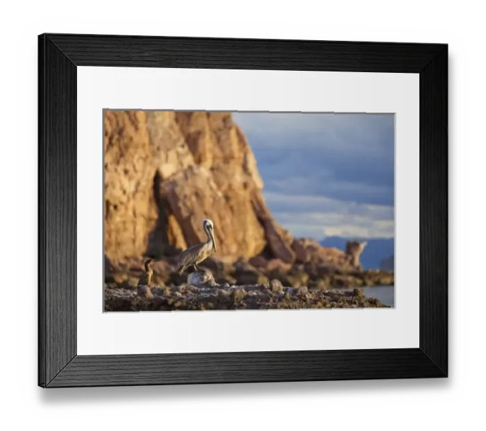 Framed Print : North America, Mexico