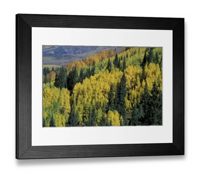 Framed Print : NA, USA, Colorado Framed Print : NA, USA, Colorado