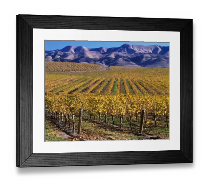Framed Print : California, San Framed Print : California, San