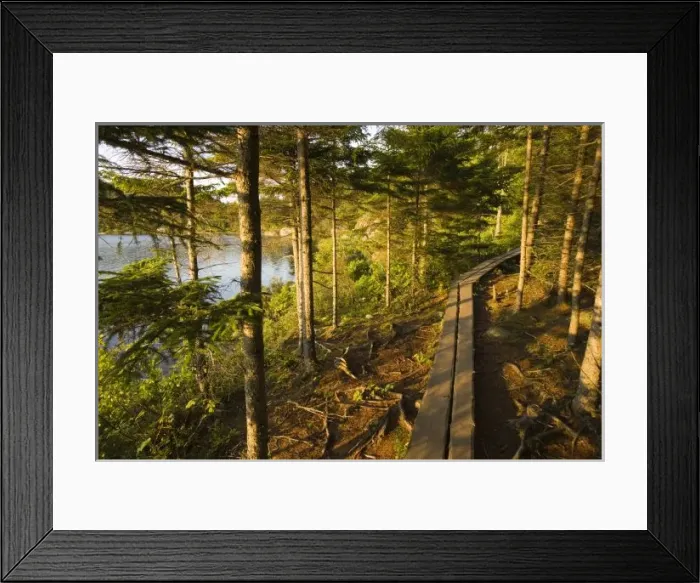 Framed Print : USA, North America, Maine Framed Print : USA, North America, Maine