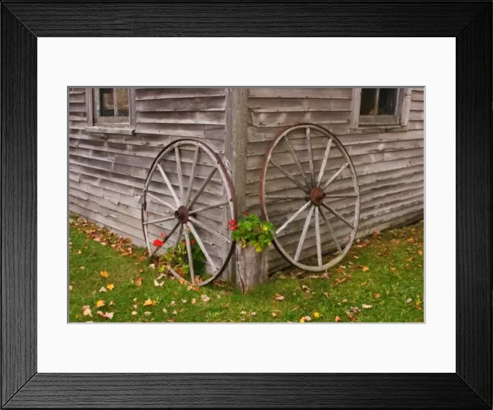 Framed Print : USA, Main. Wagon Wheels Framed Print : USA, Main. Wagon Wheels