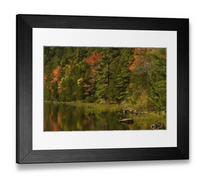 Framed Print : USA; Maine; Acadia NP. Fall reflections at Bubble Pond