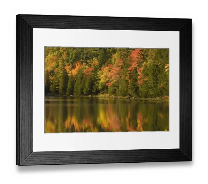 Framed Print : USA; Maine; Acadia NP. Fall reflections at Bubble Pond