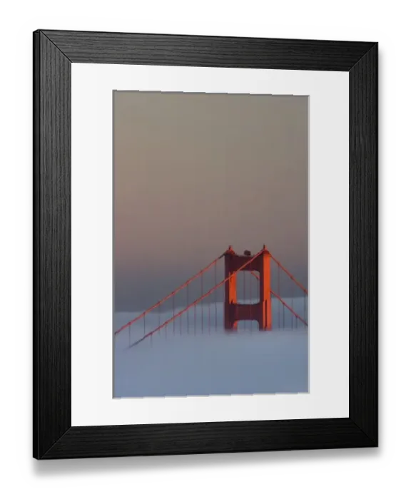 Framed Print : Fog rolls through the San Francisco bay covering the Golden Gate Bridge. Pictured Framed Print : Fog rolls through the San Francisco bay covering the Golden Gate Bridge. Pictured