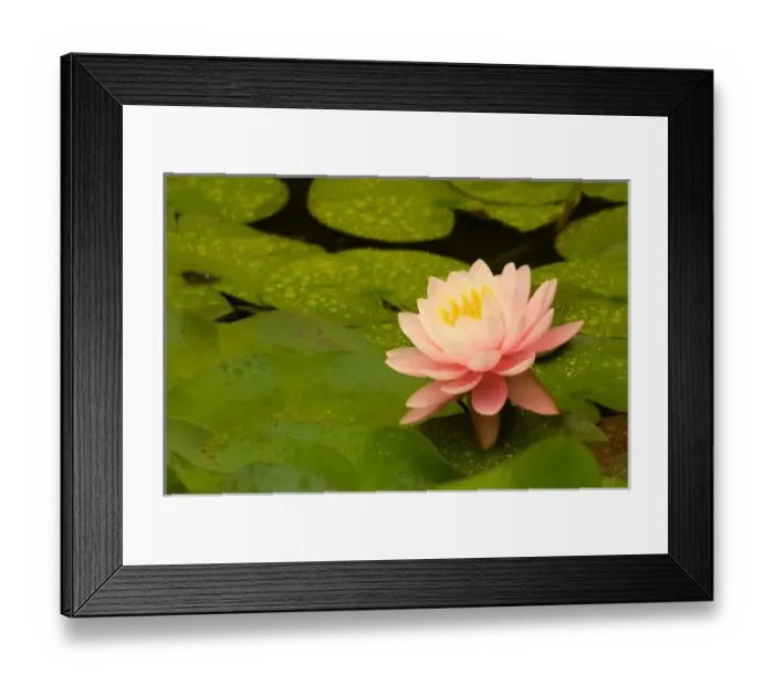 Framed Print : United States