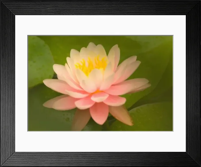 Framed Print : United States Framed Print : United States