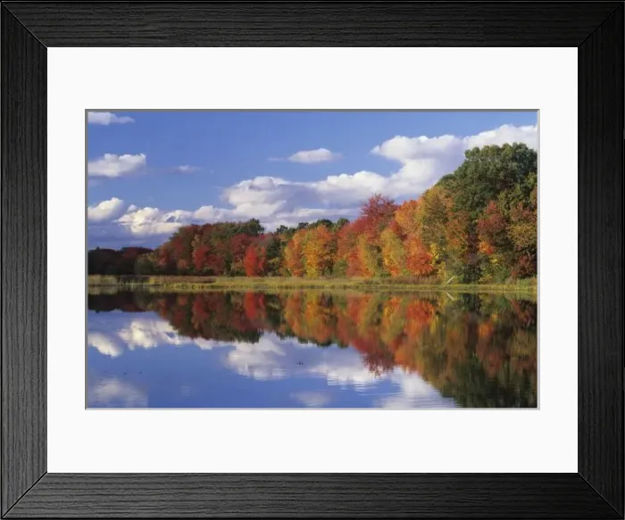 Framed Print : North America, USA, Massachusetts, Acton. Reflection of autumn foliage and clouds in pond Framed Print : North America, USA, Massachusetts, Acton. Reflection of autumn foliage and clouds in pond