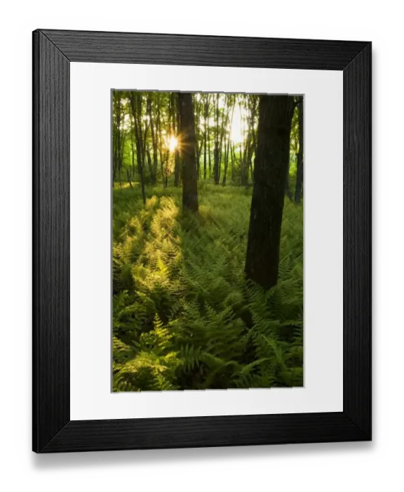 Framed Print : USA, North America, Massachusetts Framed Print : USA, North America, Massachusetts