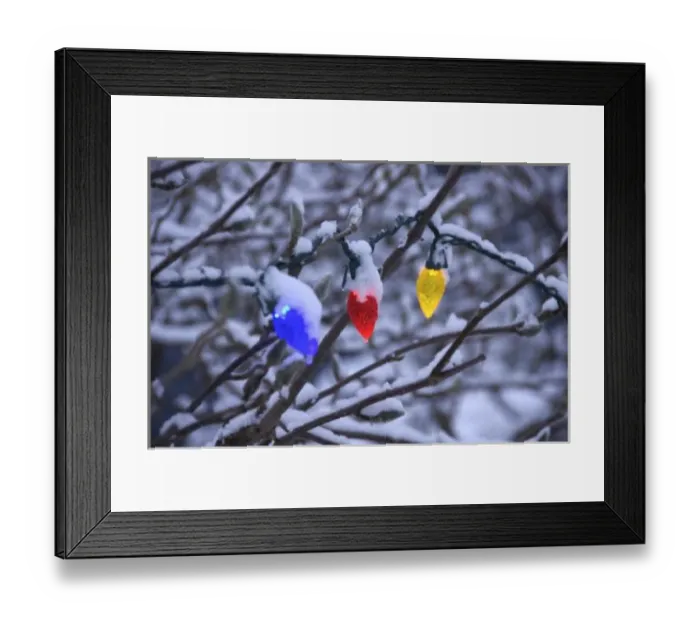 Framed Print : USA, New England, Massachusetts, Reading, holiday lights on snowy bush Framed Print : USA, New England, Massachusetts, Reading, holiday lights on snowy bush