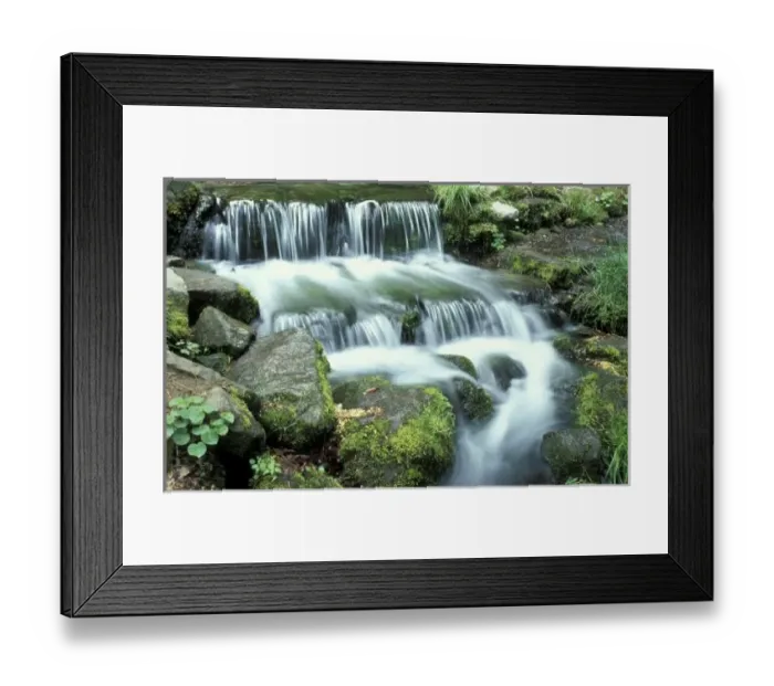 Framed Print : Fern Spring, Yosemite National Park Framed Print : Fern Spring, Yosemite National Park